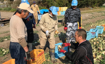 白石玉ねぎの指導